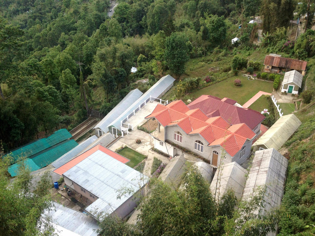 Divyaraa Breathing Stone主图