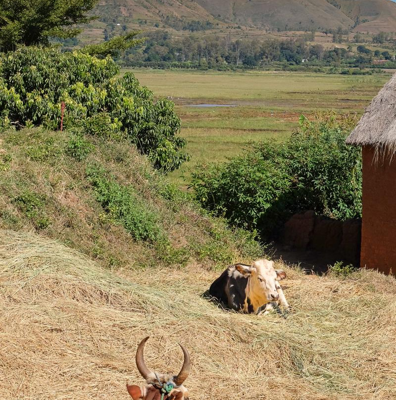 Ilot de la Vierge-Ampefy必去景点