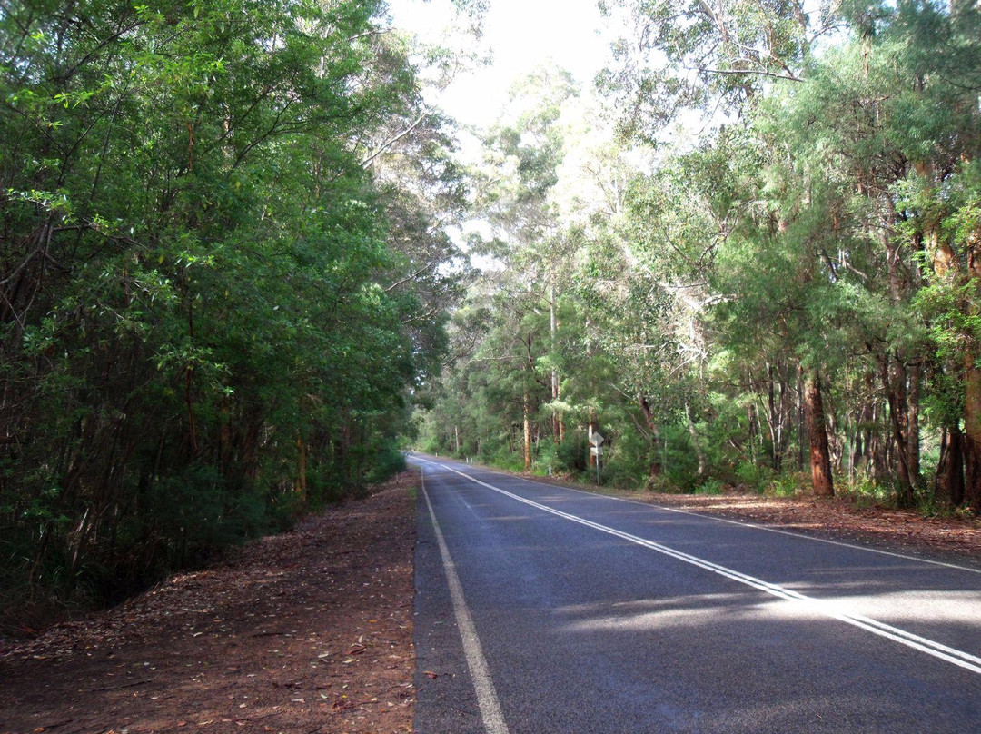 Scotsdale Scenic Drive景点图片