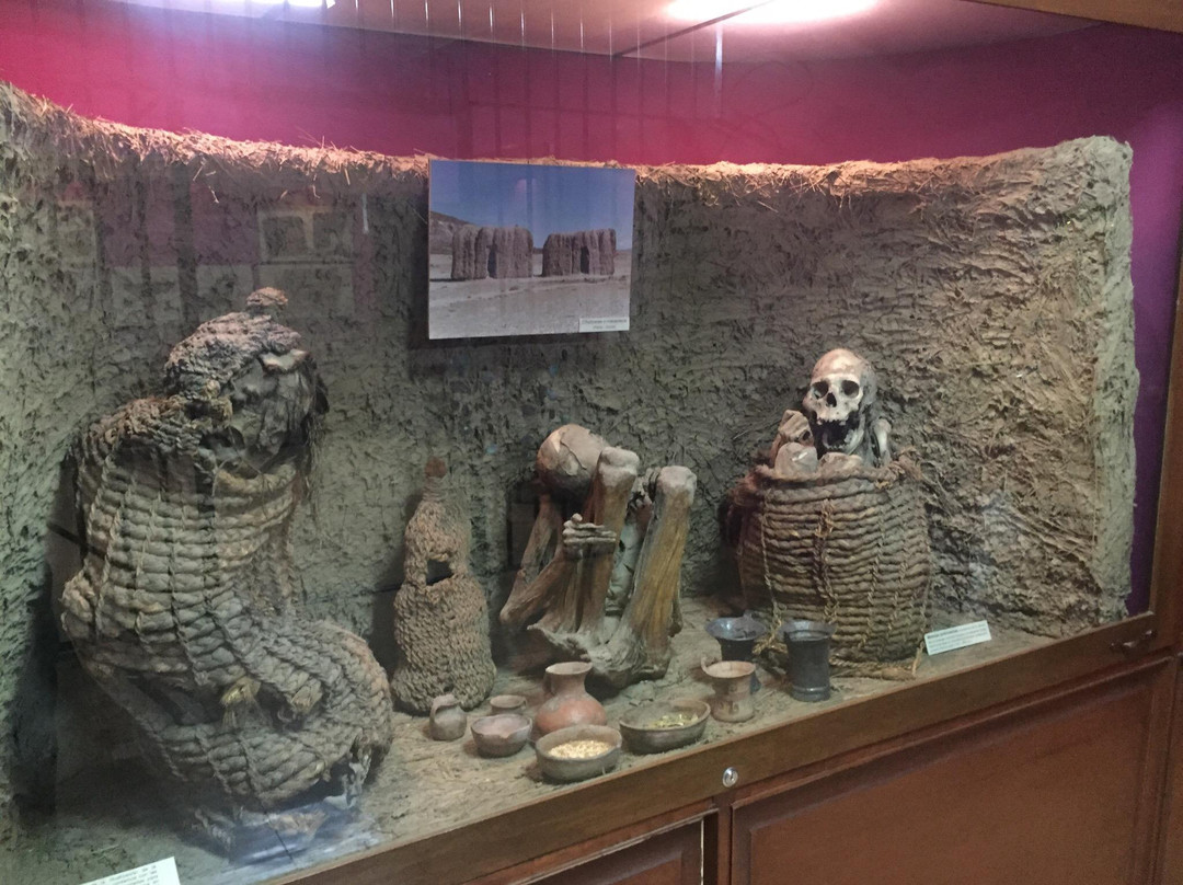 Museo Arqueologico de la Universidad景点图片