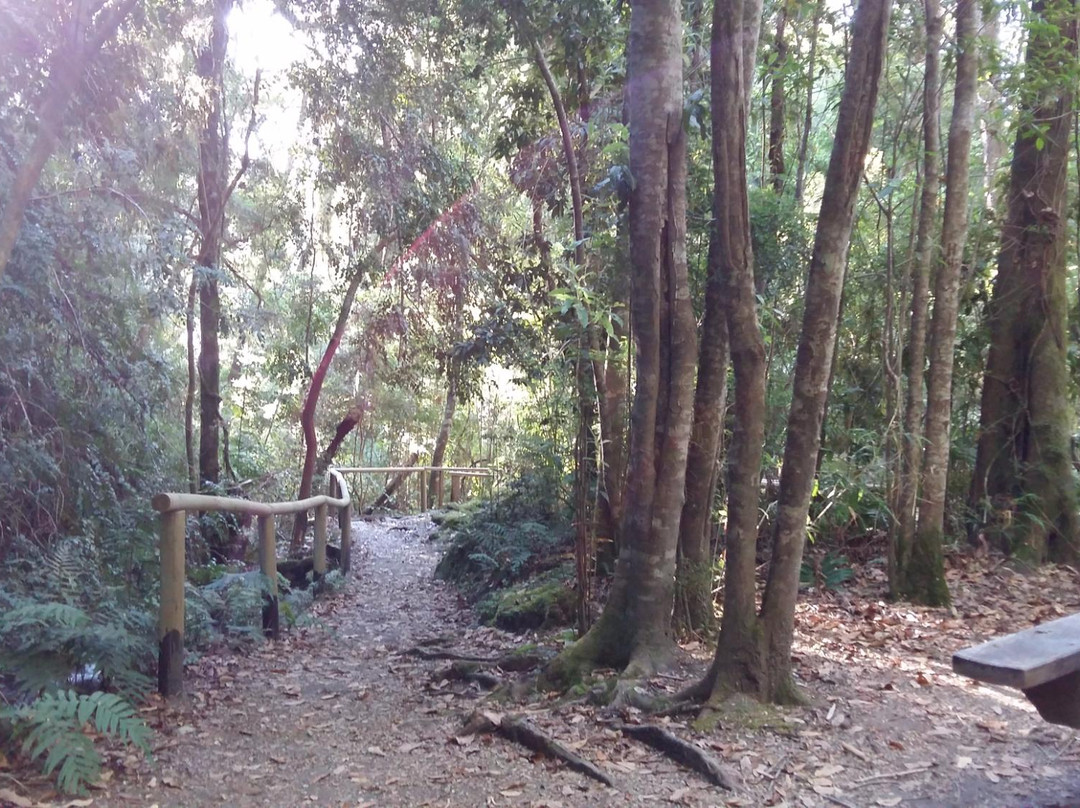 Peulla旅游景点-Cascada Velo de la Novia
