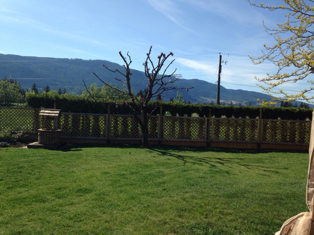 Schubert Estate Bed & Breakfast主图