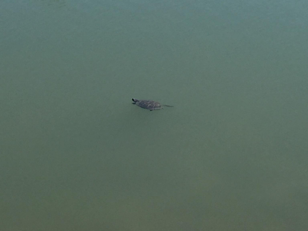 Dillon Nature Center-Hutchinson必去景点