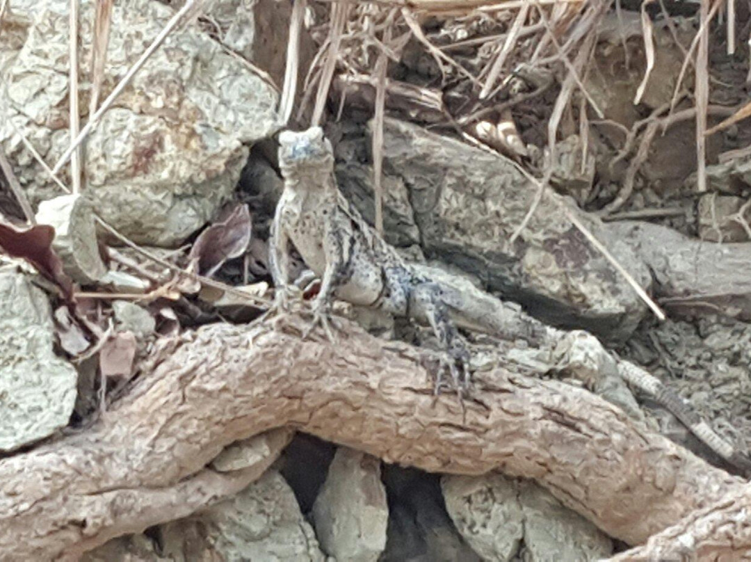 dondeJavitours-萨玛拉滩必去景点