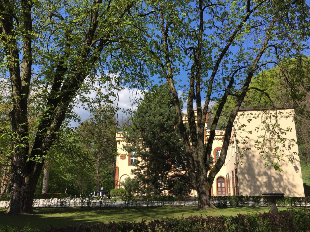 Schloss Wolfsberg景点图片