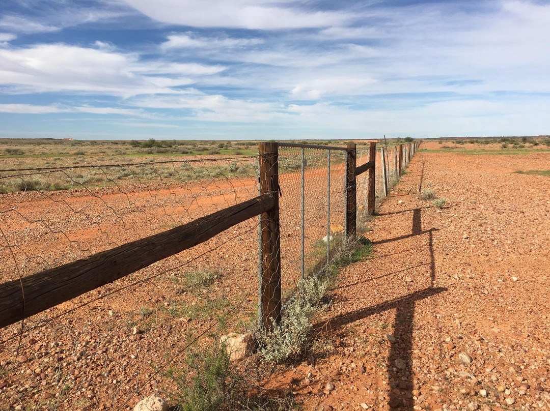 Dog Fence景点图片