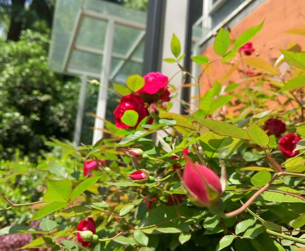 凤凰山庄艺术酒店主图