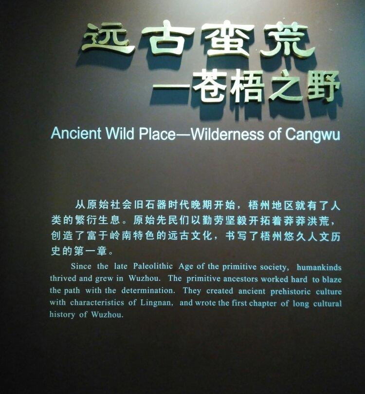 梧州博物馆景点图片