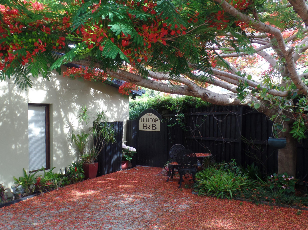 Hilltop Bed & Breakfast主图