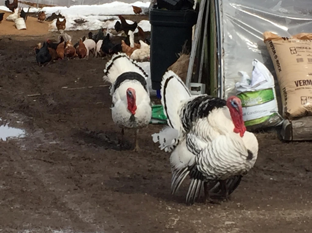 Haderlie Farms-Thayne必去景点