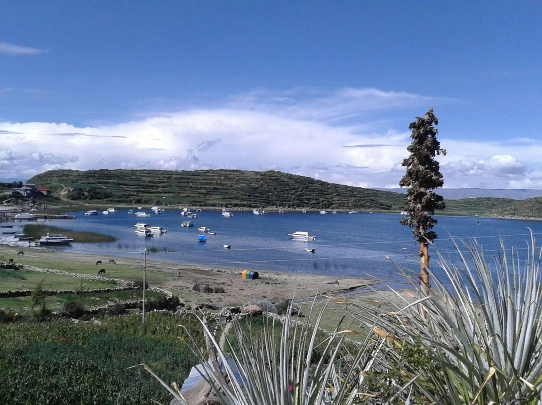 Stroll On Walking Tours-科帕卡巴纳必去景点