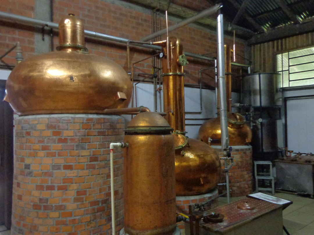 Maquine旅游景点-Bento Albino Cachacas de Alambique