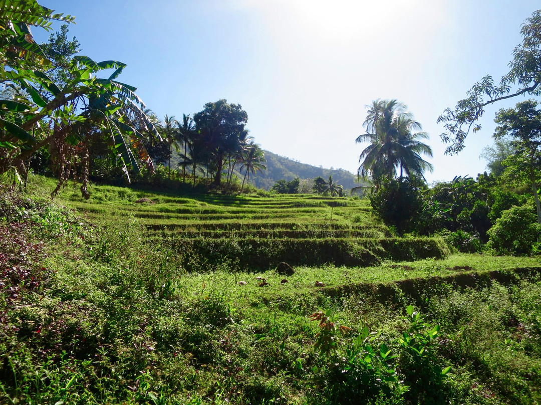 Katahum Tours - Day Tours-Tibiao必去景点