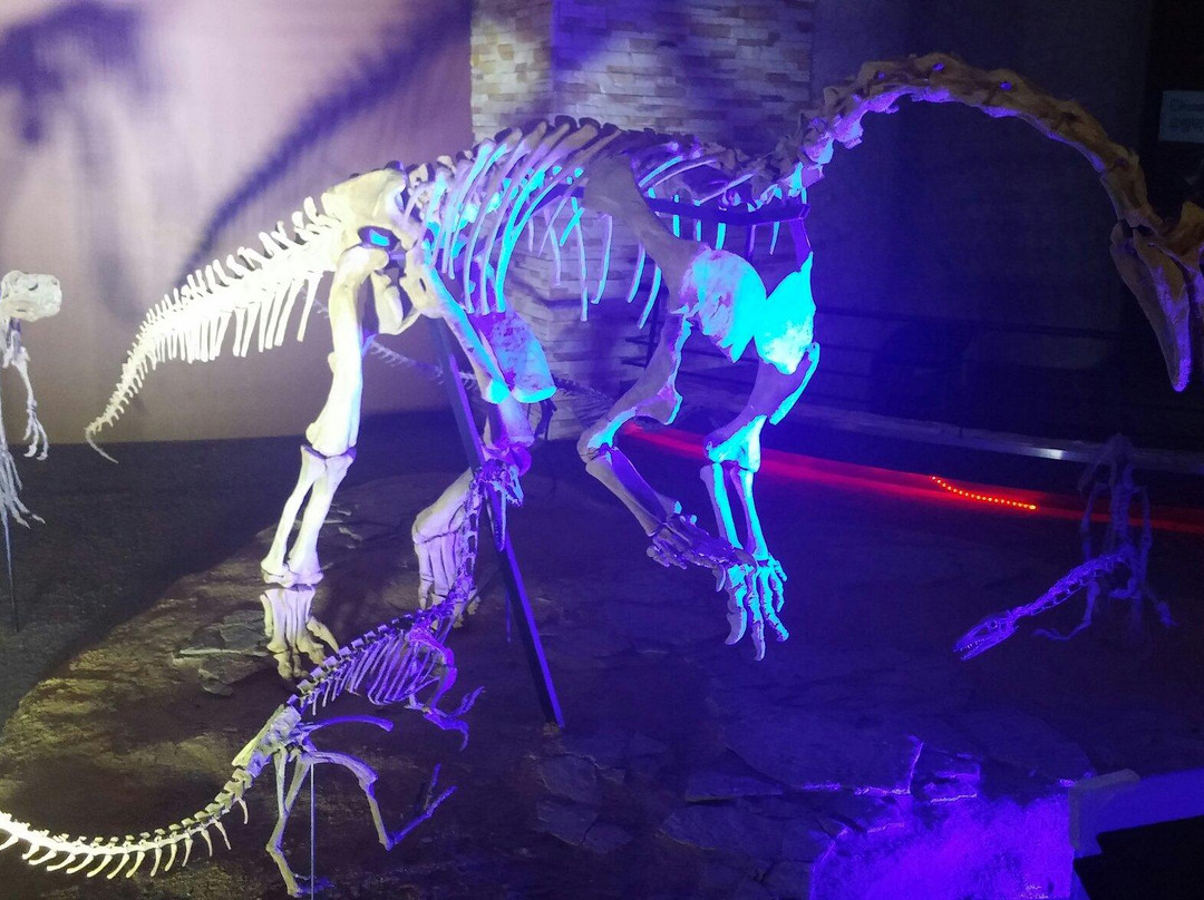 Haenam Dinosaur Museum-海南郡必去景点