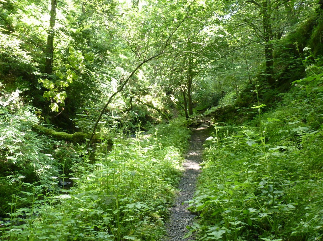 Gorpley Clough  Local Nature Reserve景点图片