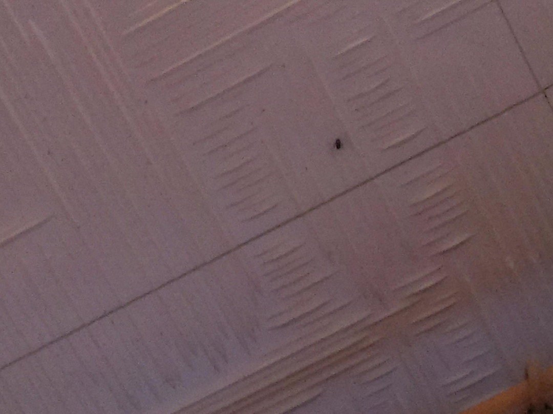 Sport Hotel Bellavista主图