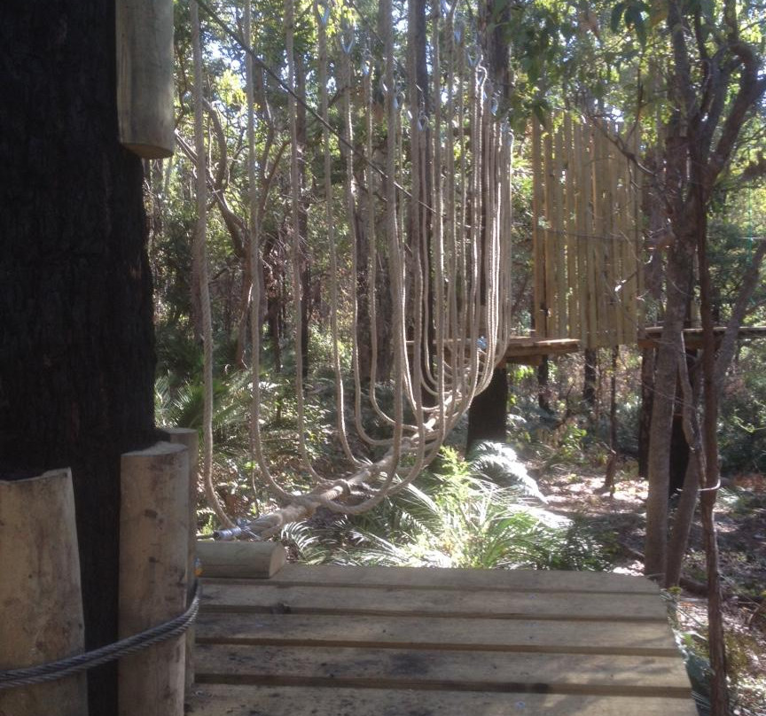 Treetops Adventure Dwellingup景点图片