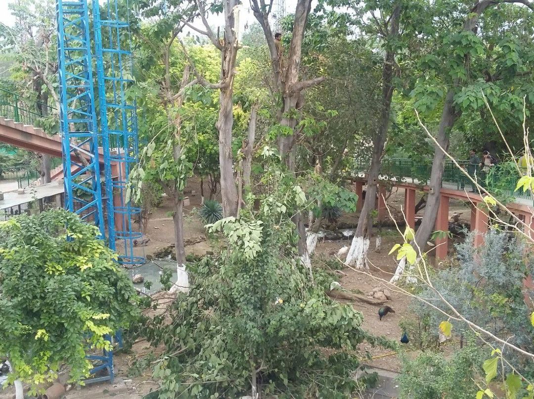 Bird Aviary-伊斯兰堡必去景点