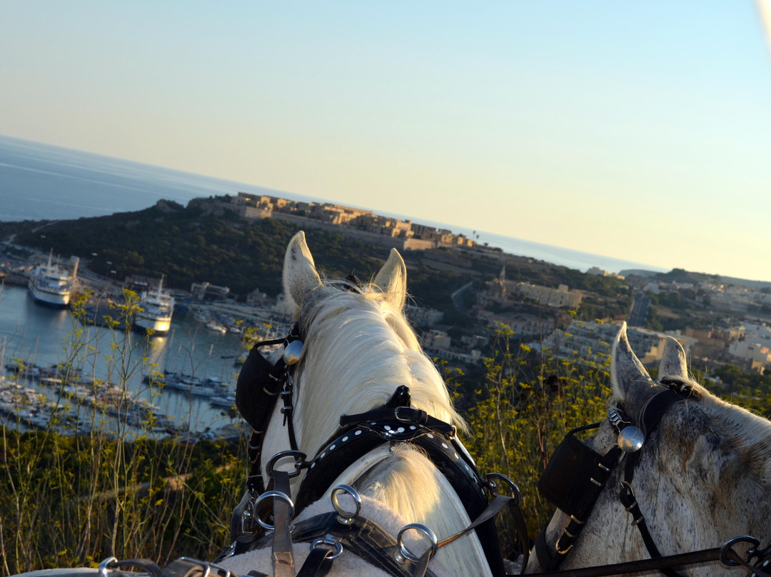 Victor's Horse & Carriage