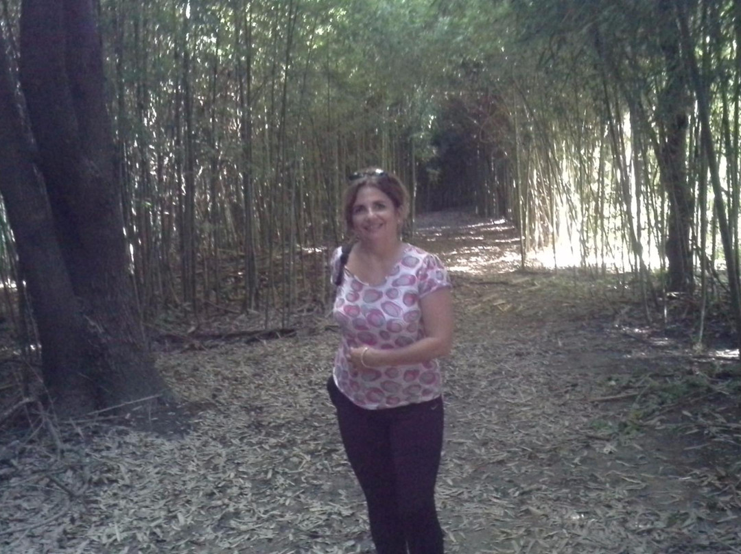 Sendero de Caminatas Arroyo Rama Negra-蒂格雷必去景点