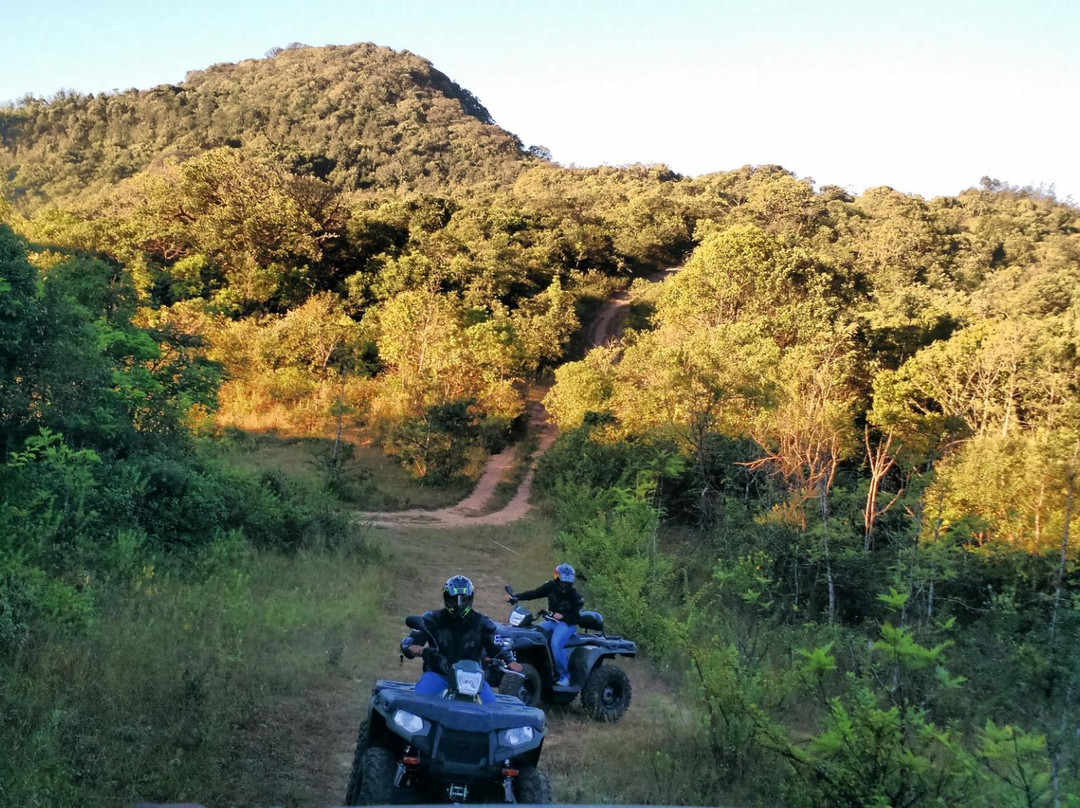 Dirt Mania Outdoor Adventures景点图片