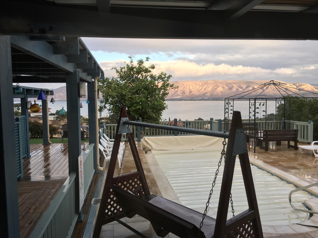 Kinneret Zimmer's主图