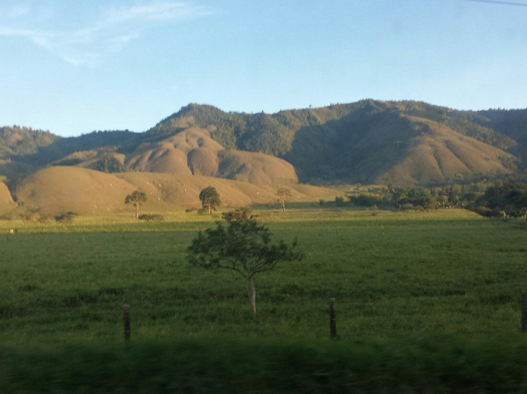 Pitalito旅游攻略图片