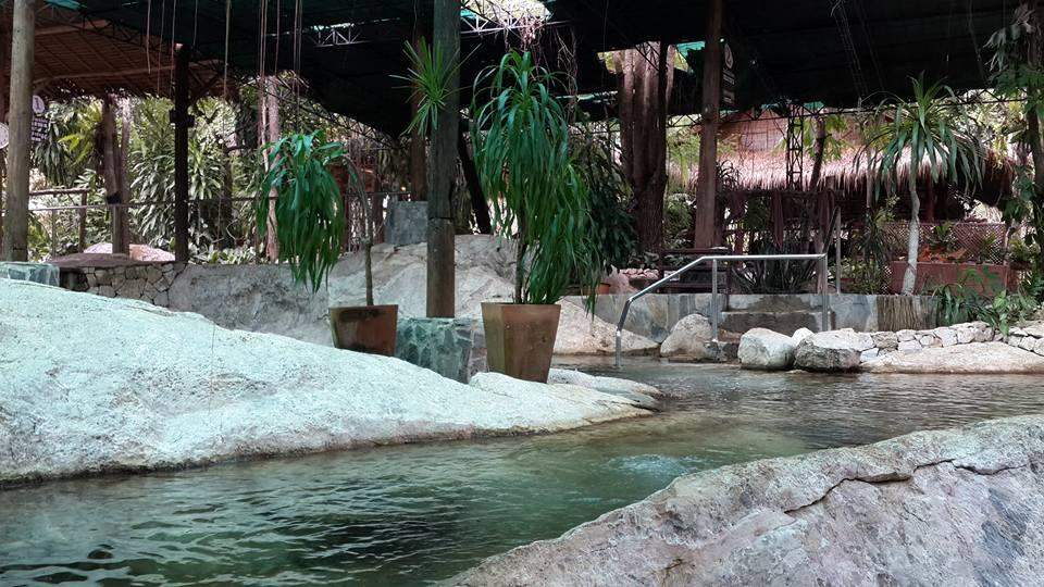 Rock Valley Hot Spring & Fish Spa景点图片