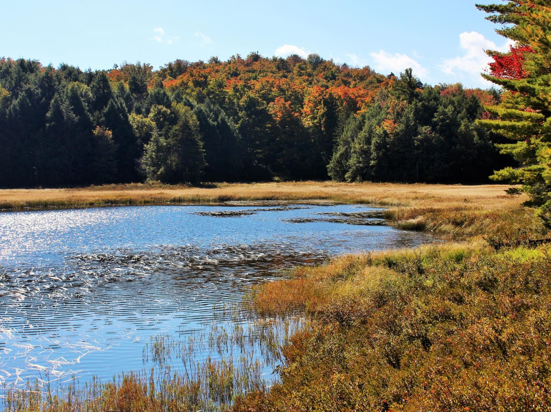 Black Mountain Loop-乔治湖必去景点
