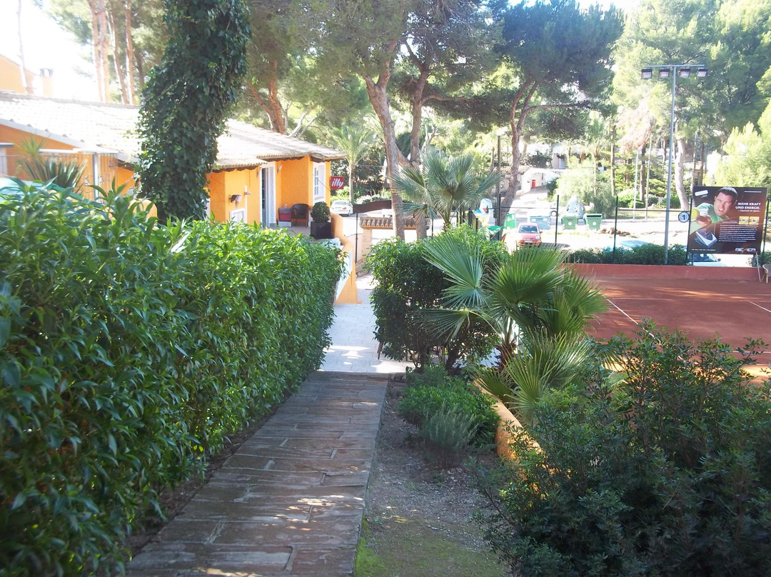 Tenis Oro-Costa de la Calma必去景点