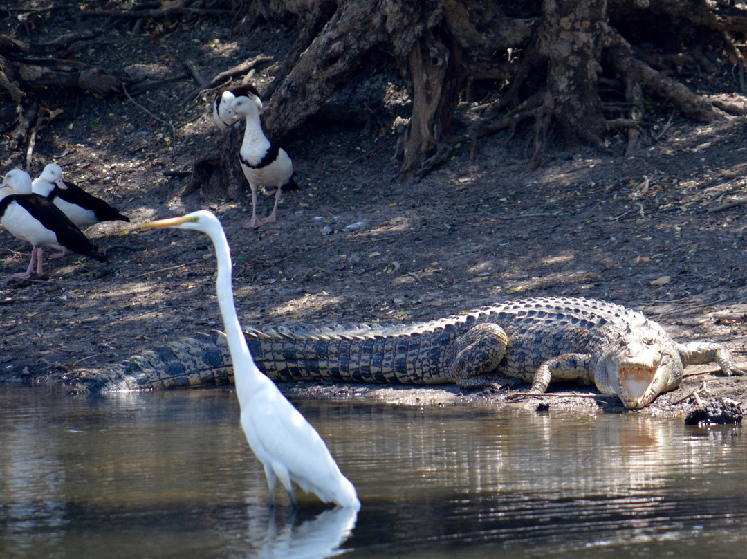 Parry Lagoons Nature Reserve-库努纳拉必去景点