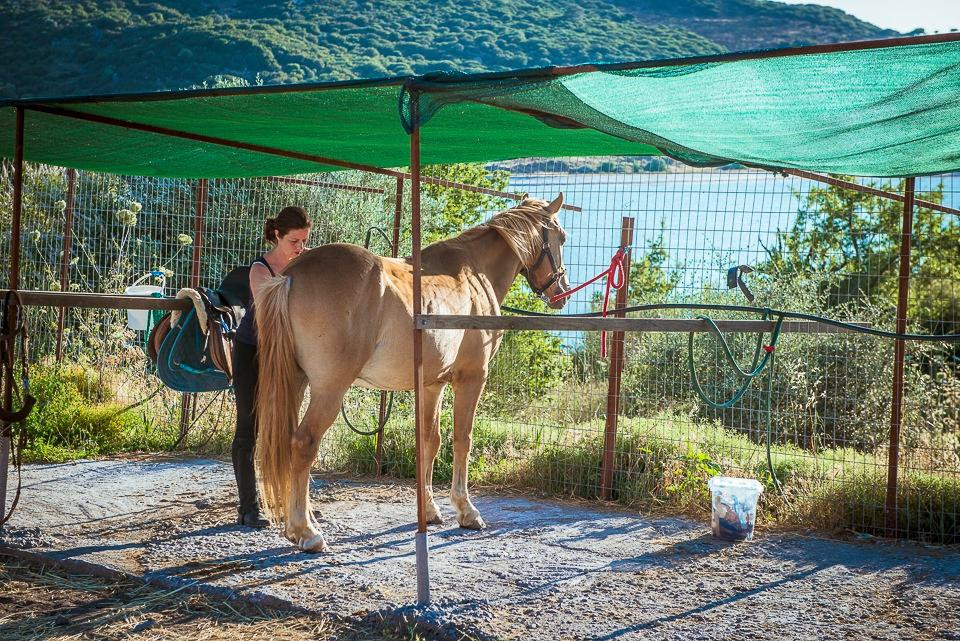 Ippos Horse Riding and Excursions景点图片