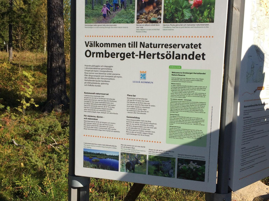 Hertsoestigen Trail-Luleå必去景点