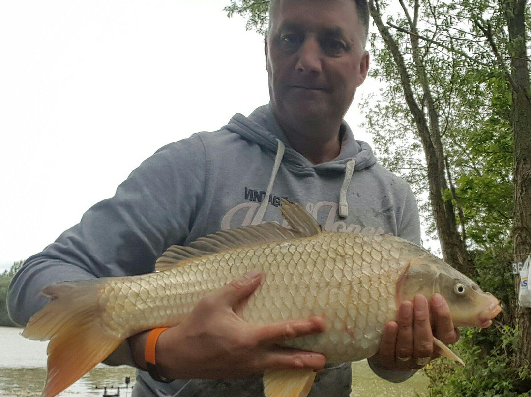 Packington Somers Fishery景点图片