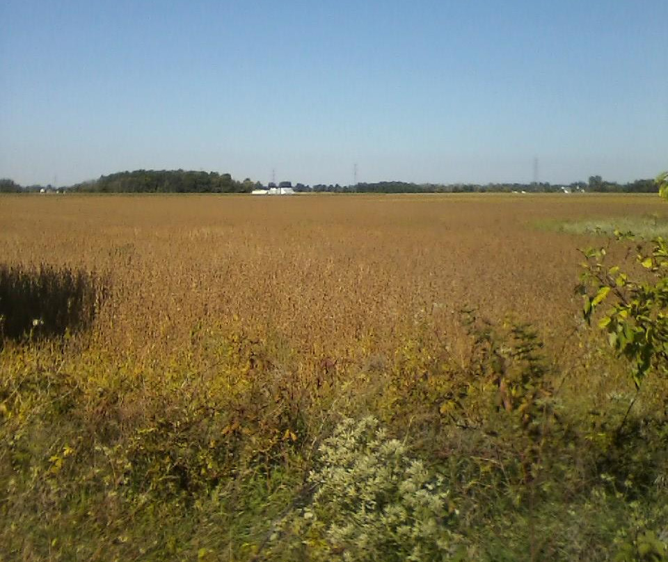 Heritage Trail Metro Park-Hilliard必去景点