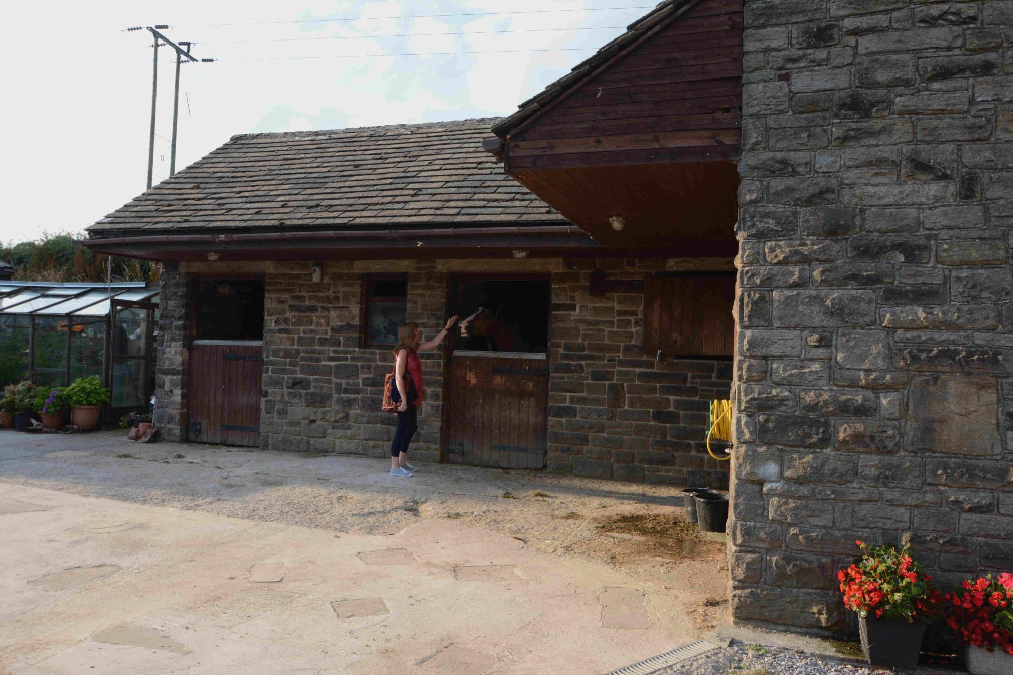 Round Meadow Barn-客卧
