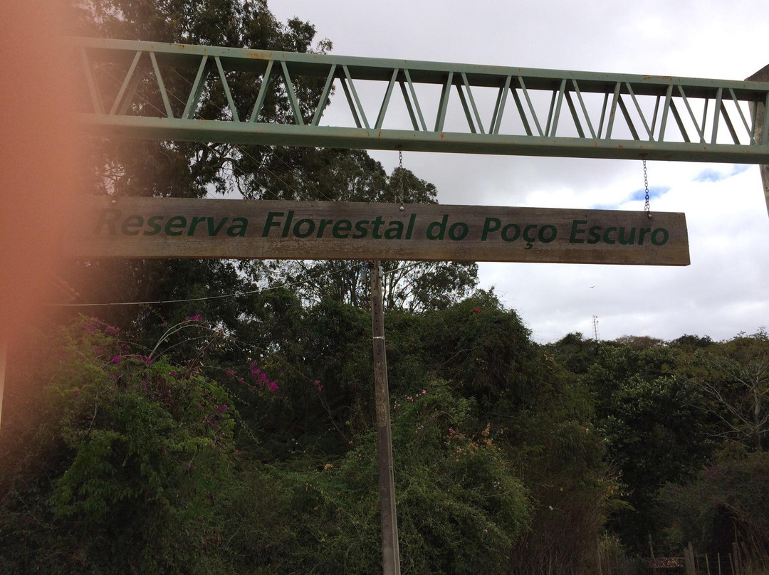 Reserva Florestal do Poço Escuro景点图片