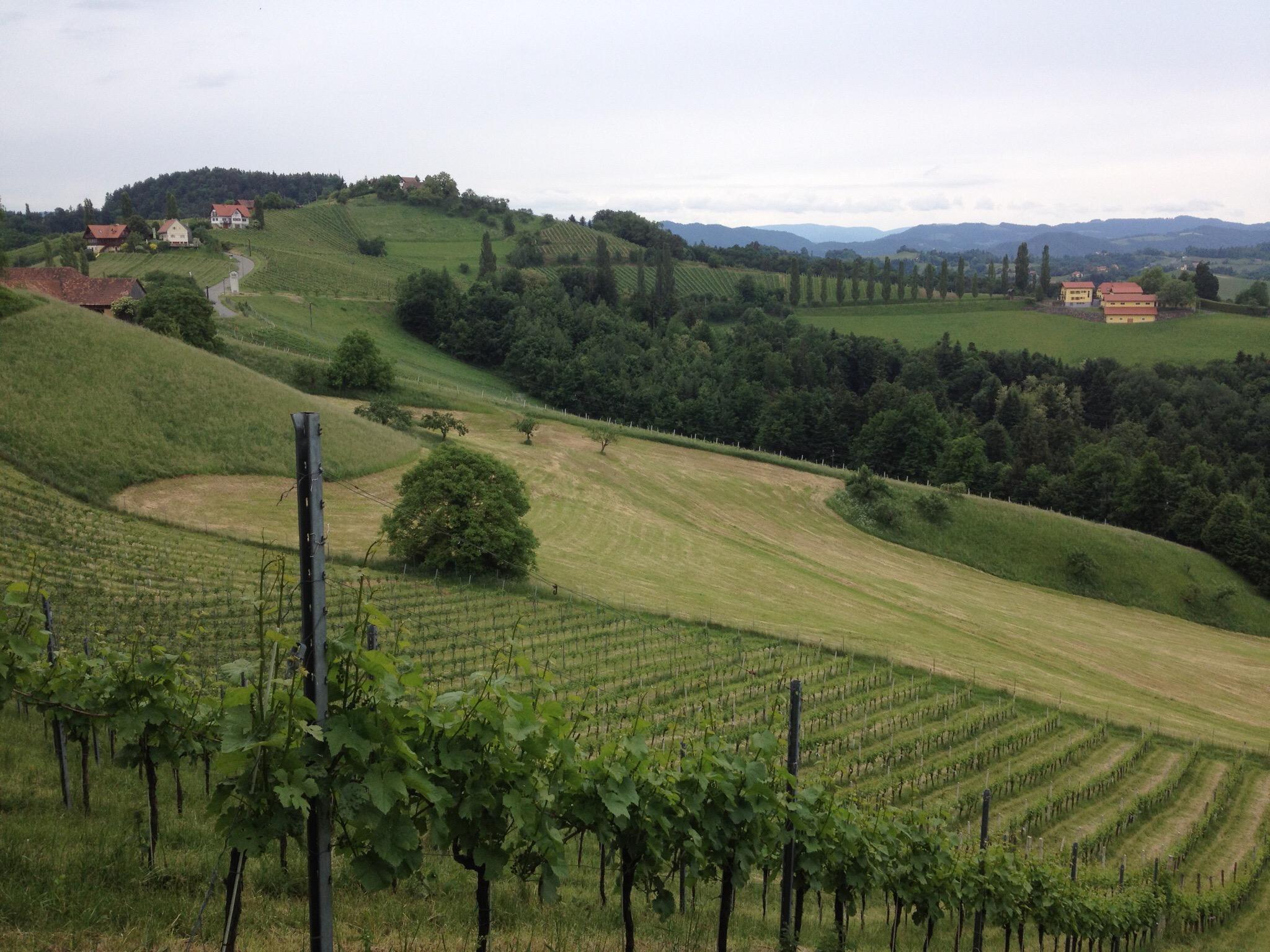 Gaestehaus Weingut Soell-客卧