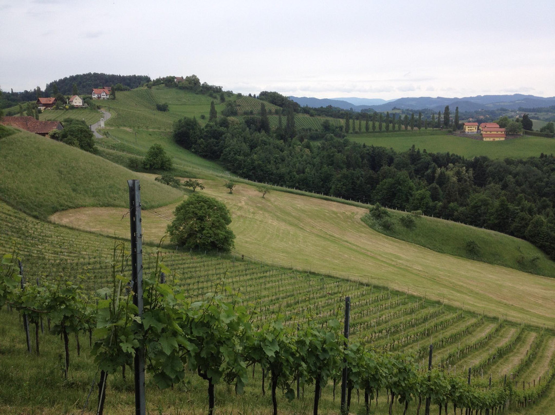 Krannach酒店住宿-Gaestehaus Weingut Soell