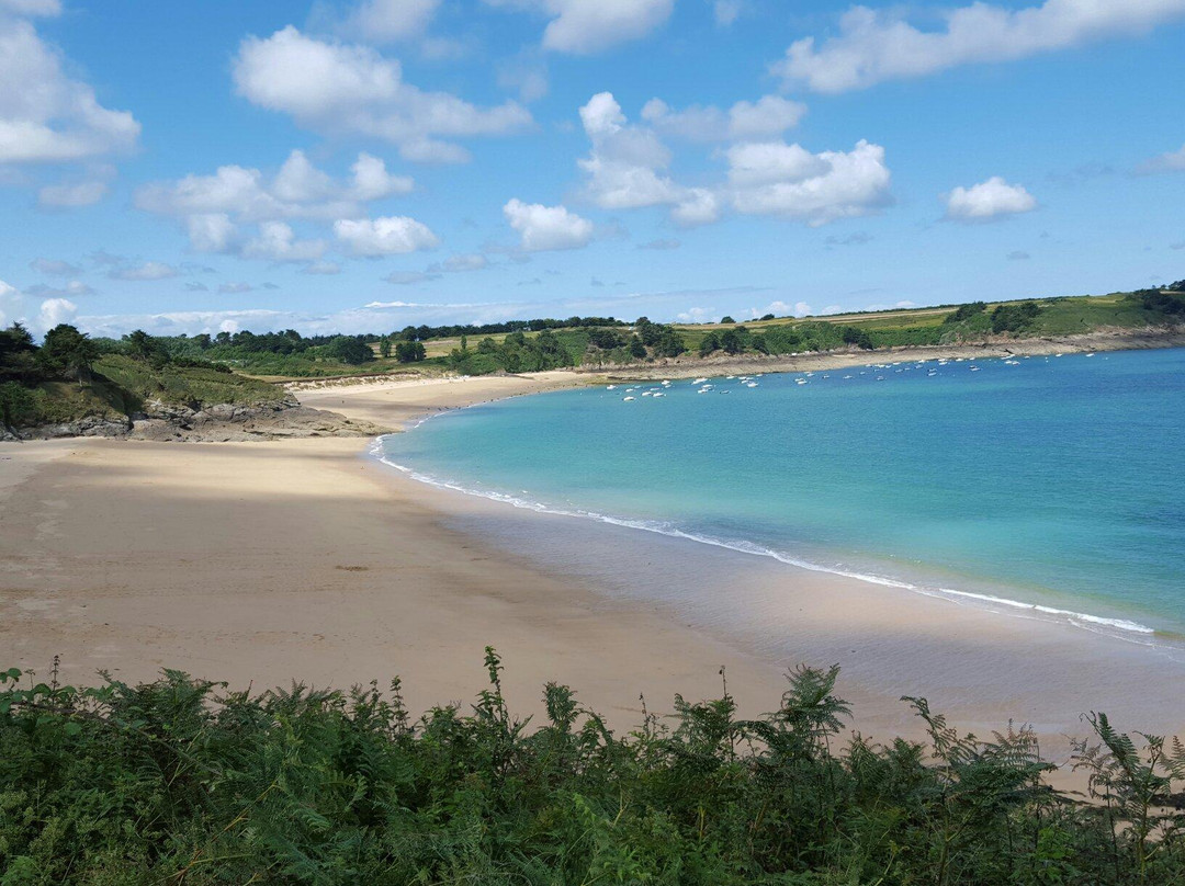 Plage de la Touesse景点图片