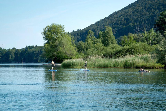 Stand Up Paddling-Reichenau必去景点