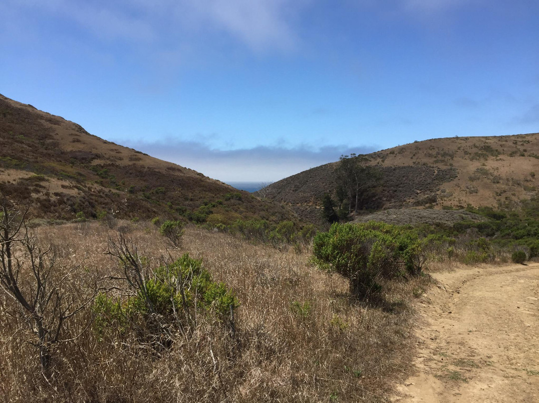 Harmony Headlands State Park景点图片