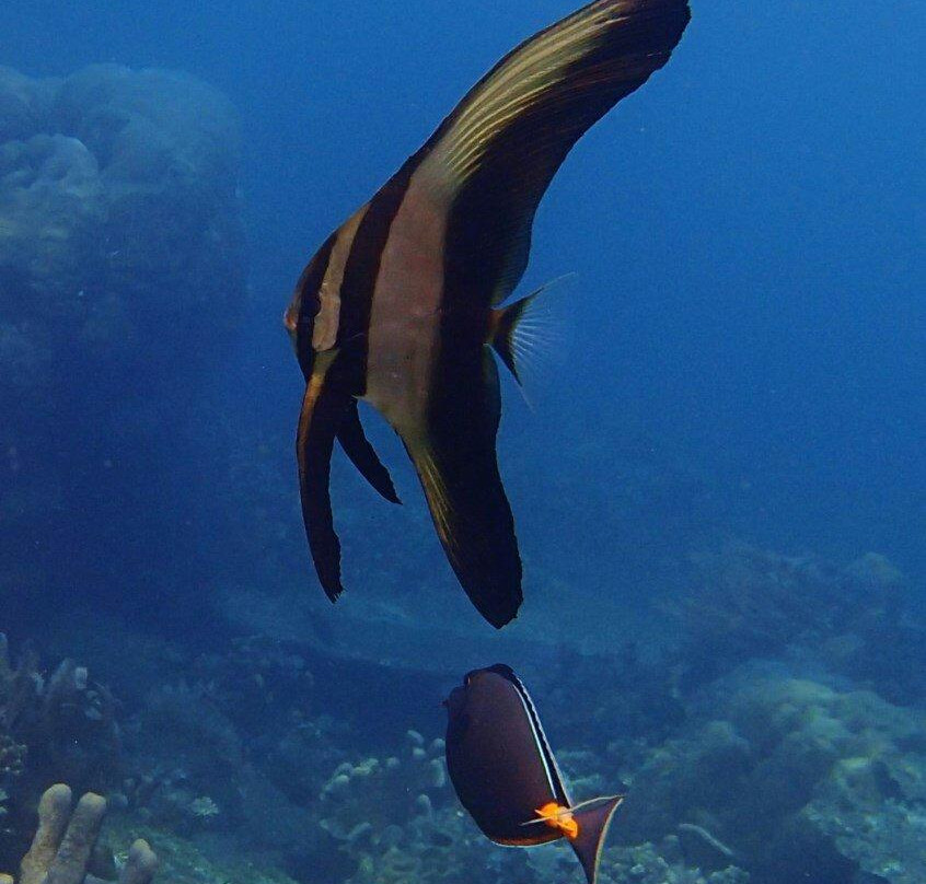Jemeluk Beach-艾湄湾必去景点