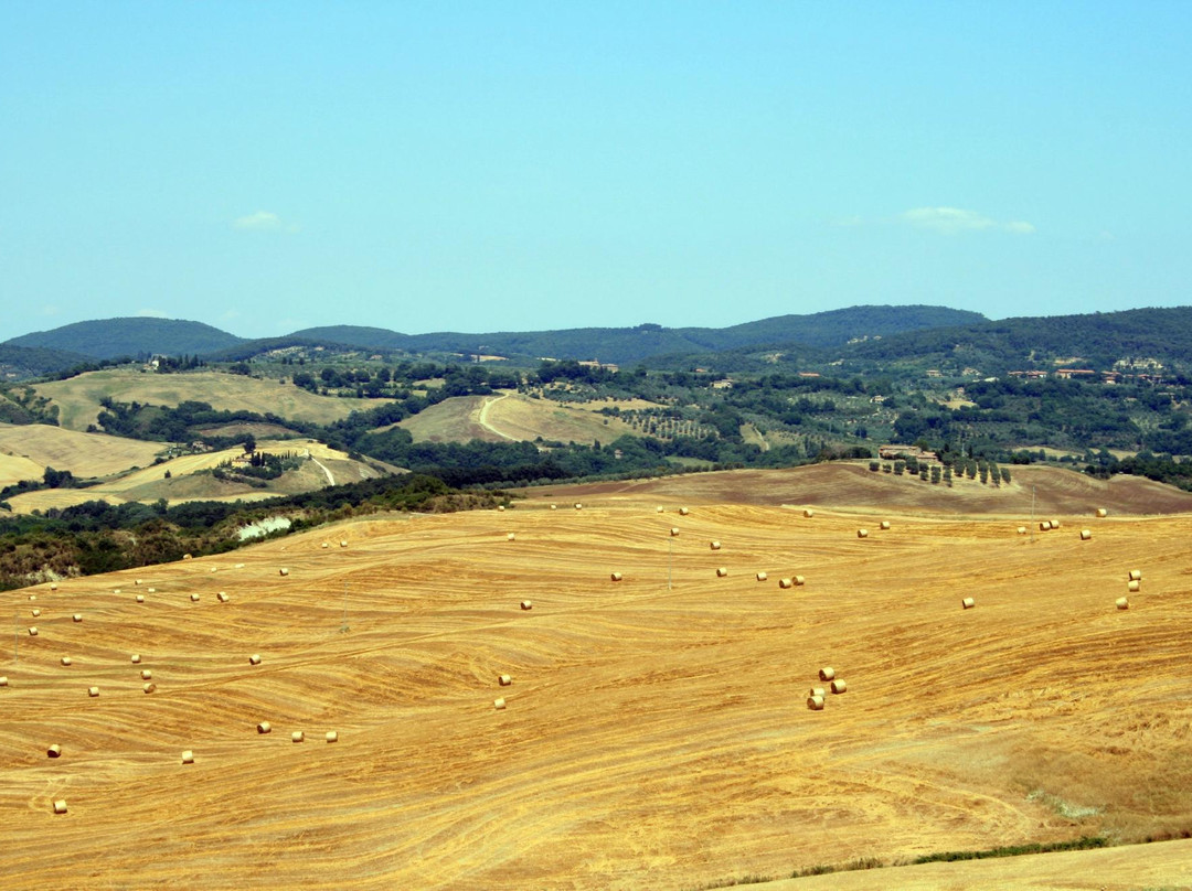Agriturismo Bagnacci