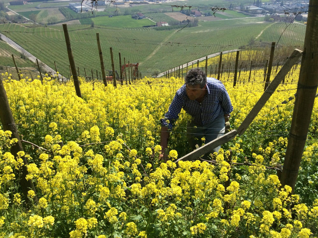 Azienda Agricola Cascina Ca' Rossa景点图片