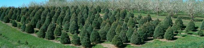 Deal's Orchard-Jefferson必去景点