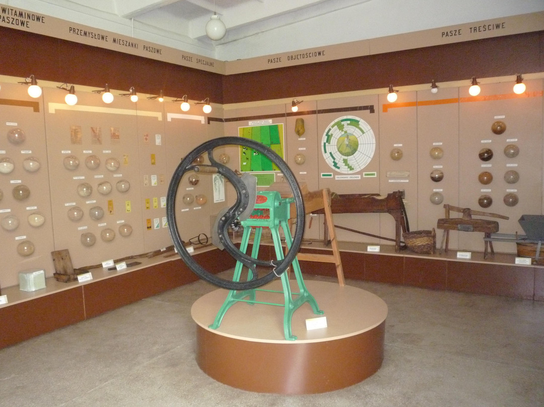 National Museum of Agriculture and Agricultural-Food Industry景点图片