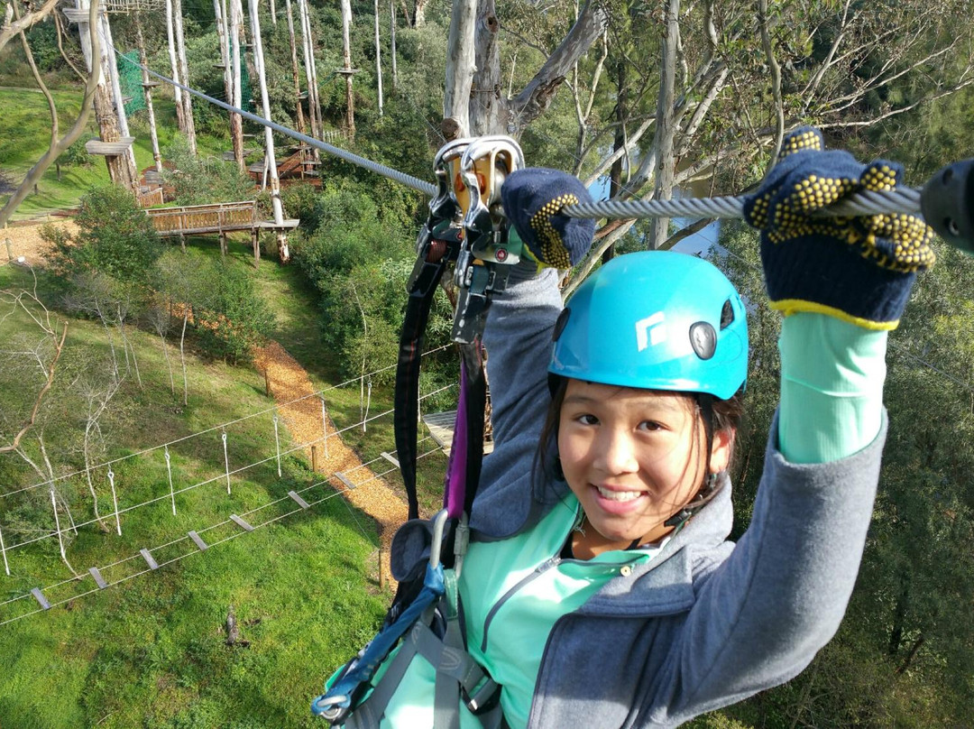 Treetops Adventure Yarramundi景点图片