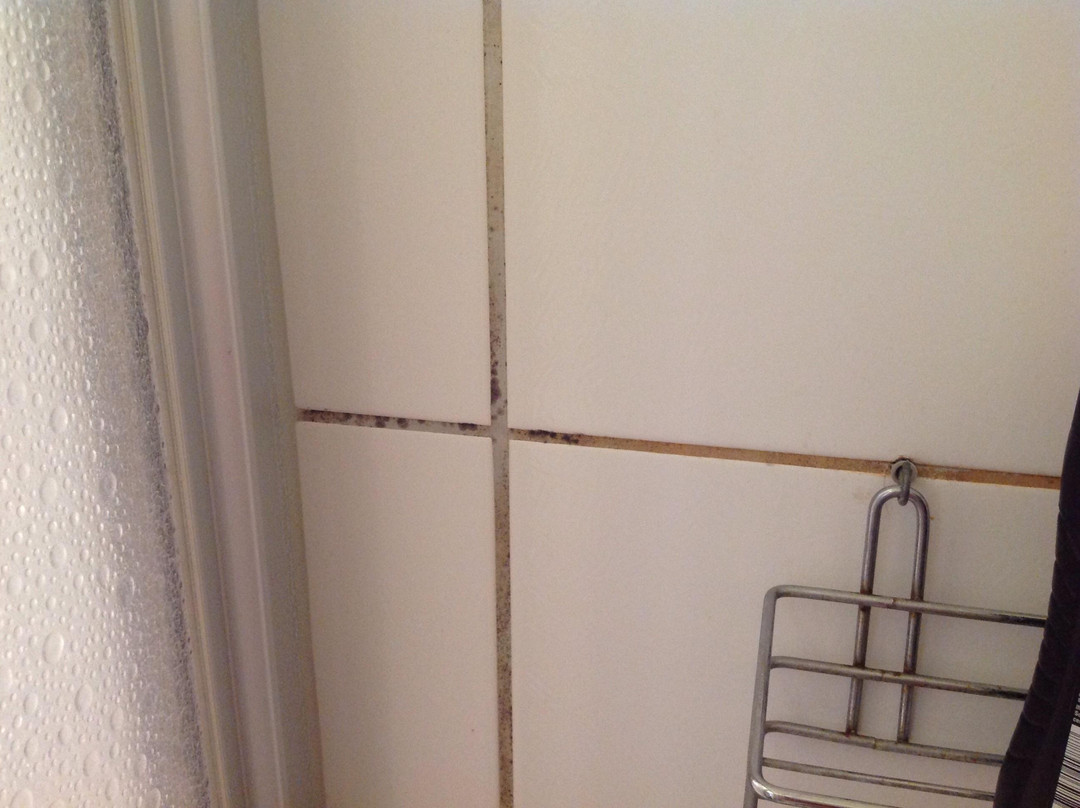 Hotel Blaues Haus主图