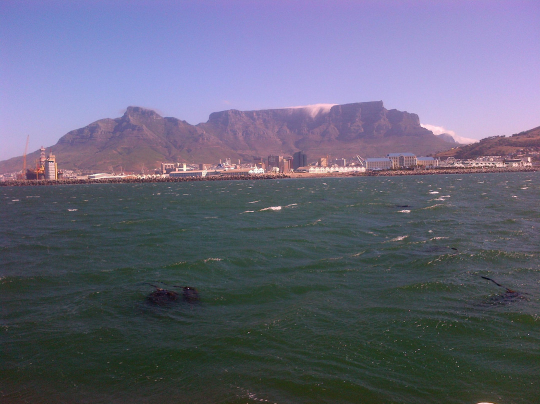 Chalan Africa Tours & Travel-开普敦中心区必去景点